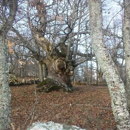 Castanos Ii 컨트리하우스 *